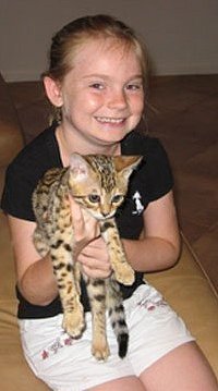 kids and bengal kitens go well together