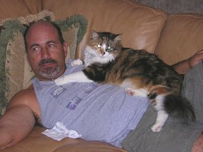 Pet cats