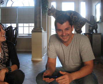 visitors enjoying Bengal Cats