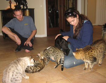 visitors enjoying Bengal Cats