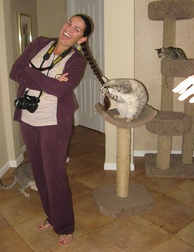 visitors enjoying Bengal Cats