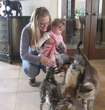 friendly bengal kittens